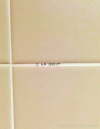 I am grout.png
